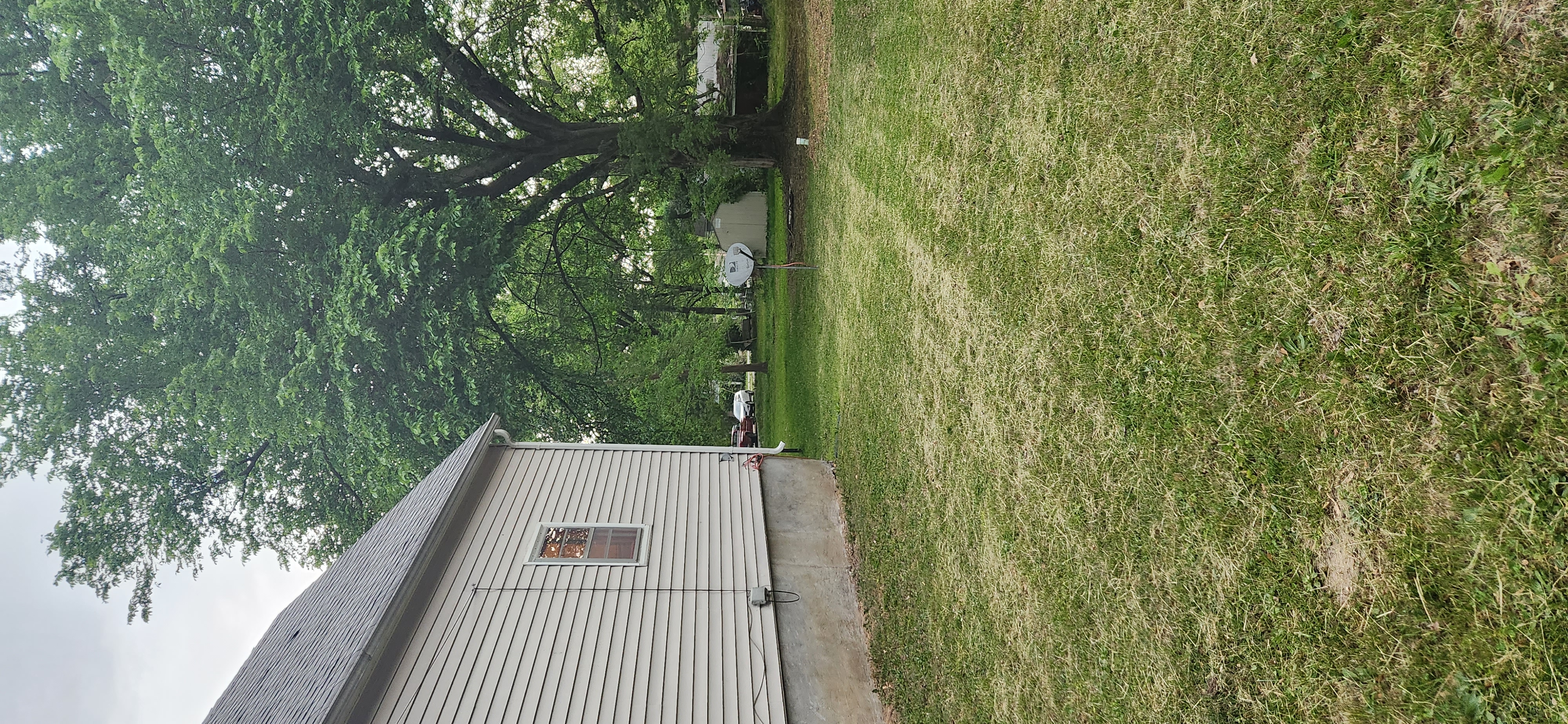 602 Florence pictures 8.jpg